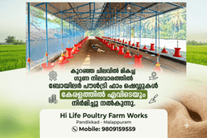 Hi Life Poultry Farm Works – Premium Broiler Poultry Farm Installation Services in Kerala