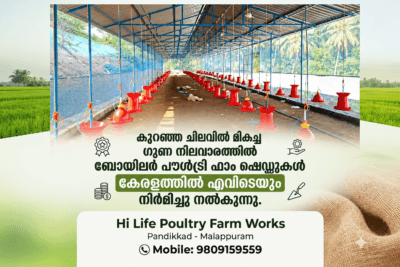 Hi Life Poultry Farm Works - Premium Broiler Poultry Farm Installation Services in Kerala