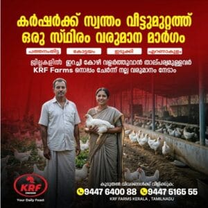 Earn Daily Income Through Poultry Farming