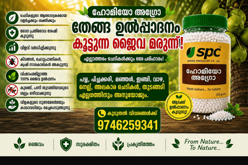 Boost Coconut Production Naturally with Homeo Agro!